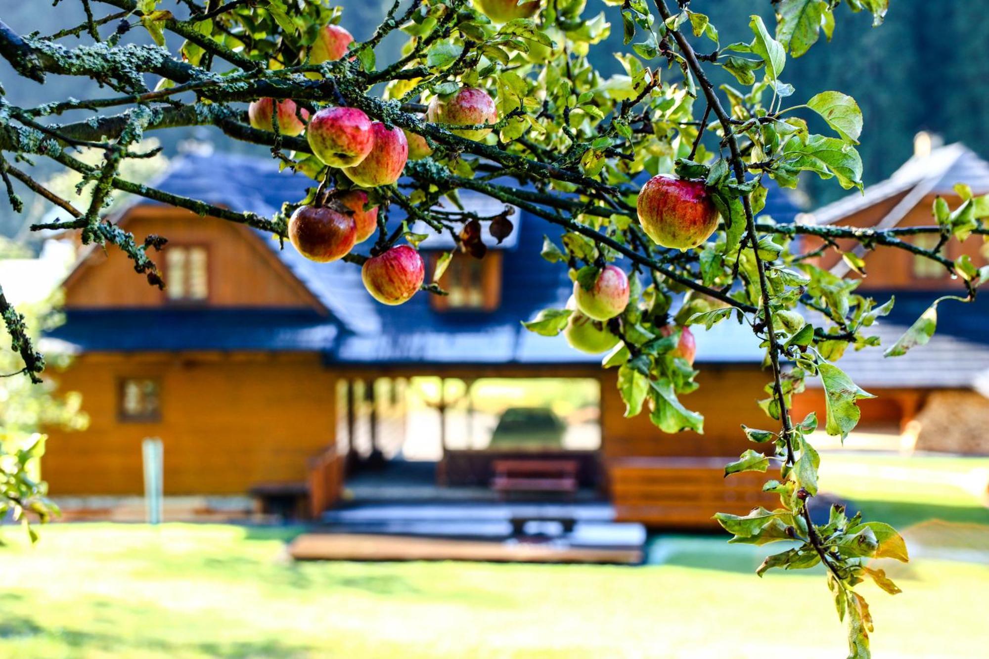 Valassky Dvur Velké Karlovice Extérieur photo